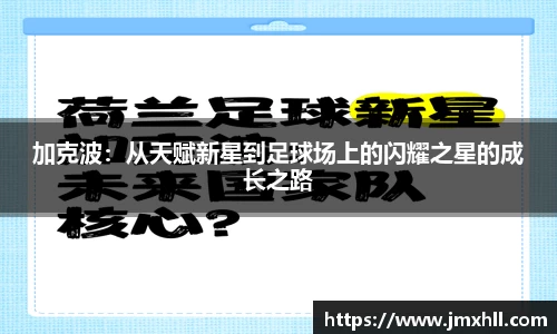 三亿体育有限公司